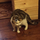 Adam Pešl's avatar